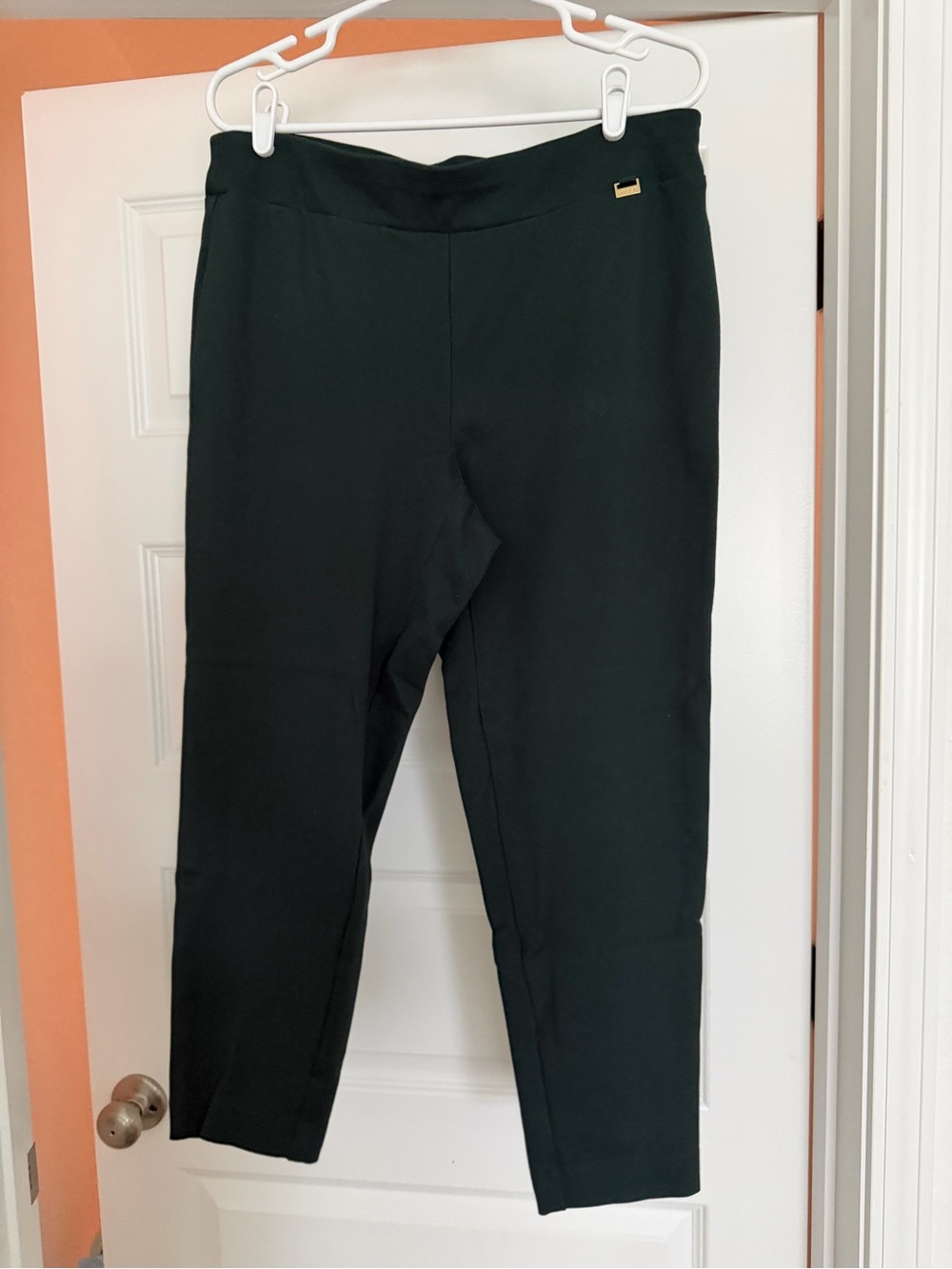 Classic Women's Green Ankle Pants Size 1X